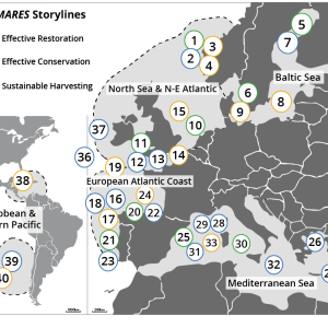 Generic representation of FutureMARES