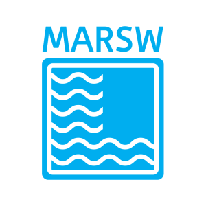 Generic representation of MARSW