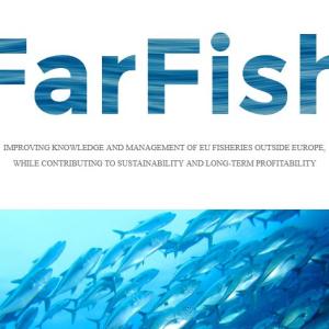 Generic representation of FARFISH 