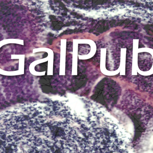 GALPUB logo