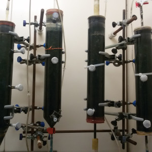 Lab scale bioreactorswith sulphate-reducing bacteria