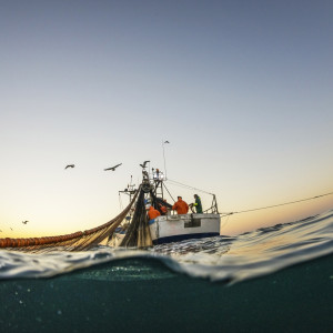 Fishing boat on the shoreline in the late afternoon