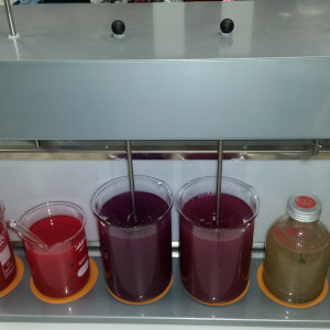 Culturas de bactérias