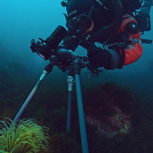 Divers at the bottom of the ocean collecting samples