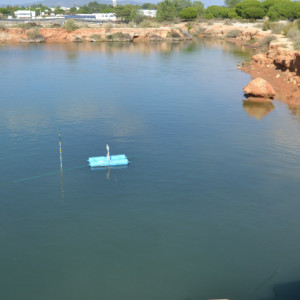 scientists placing sensors in seagrass meadows