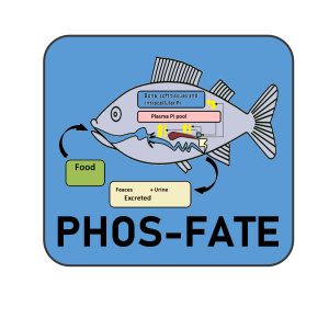 Logo Phos-fate