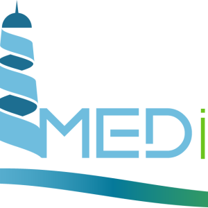 logo rhemediation project