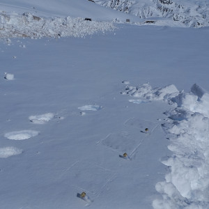 Snow parcels spiked with different types and concentrations ofmicroplastics