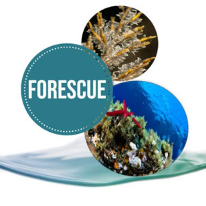 FORESCUE