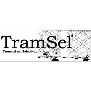 tramsel logo