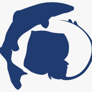 Logo projeto Delasmop