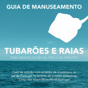 guia_delasmop_capa