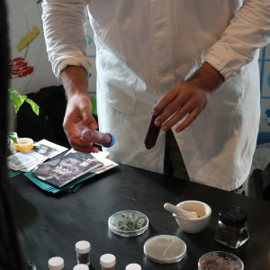 estagios_laboratorios