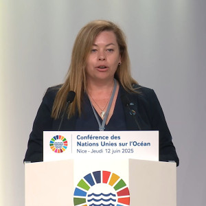 LilianKrug presenting at Unoc3