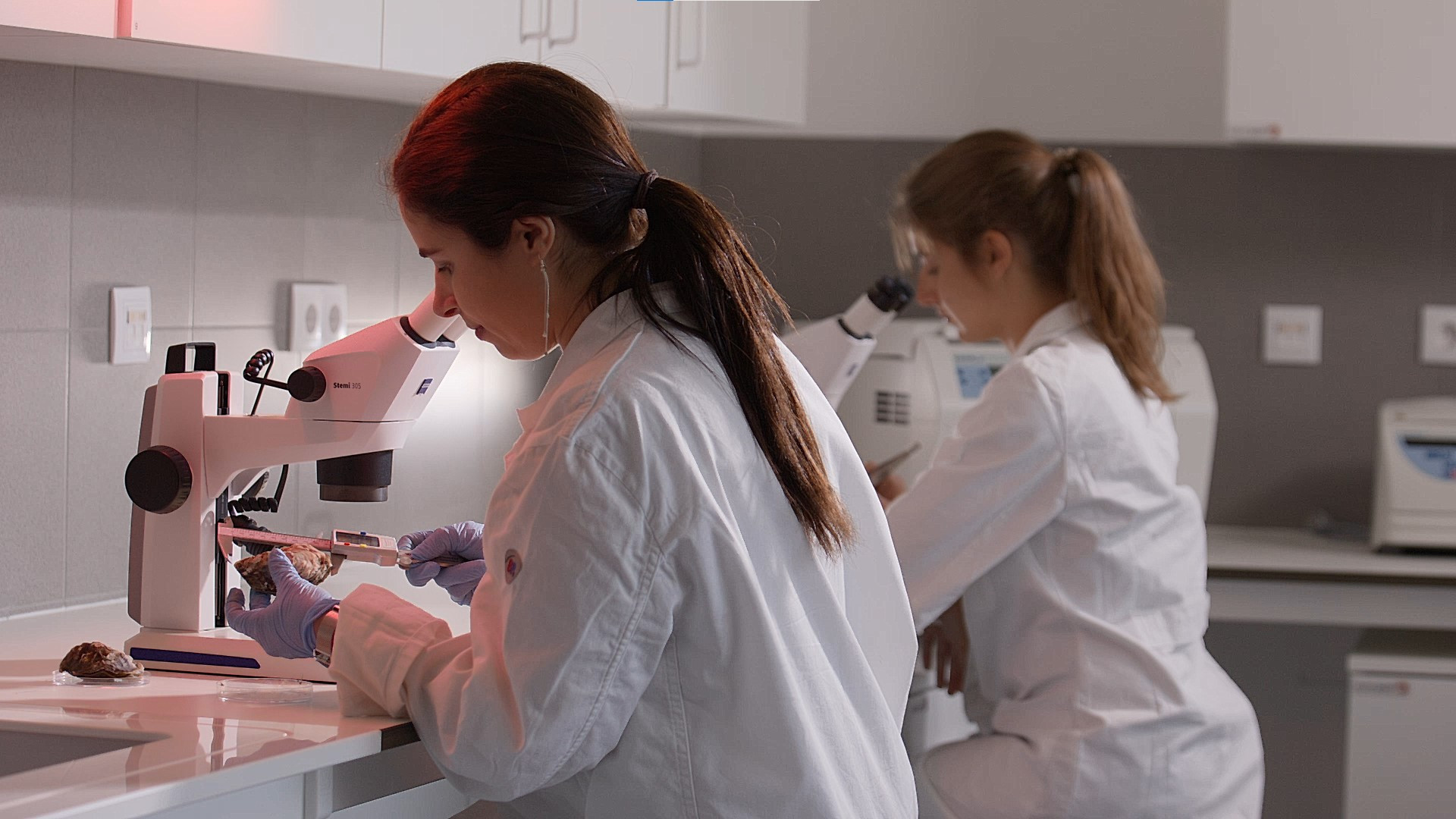 Researcher in a laboratory environment