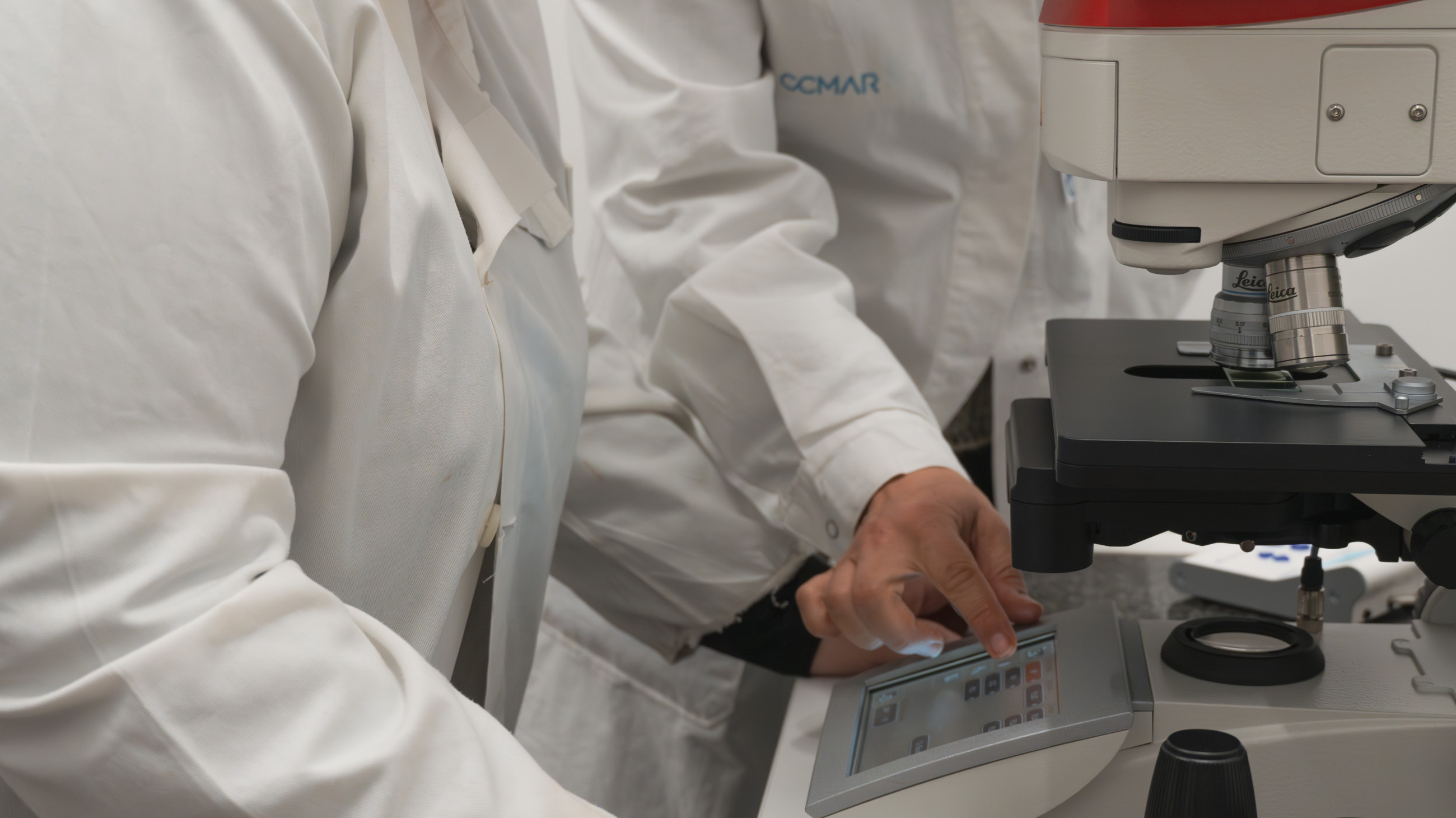 Detail of researcher's hand at work