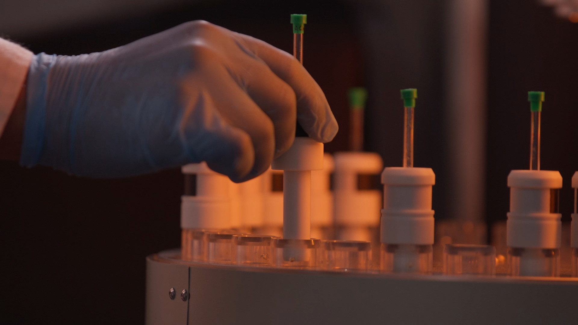 Detail of researcher's hand at work