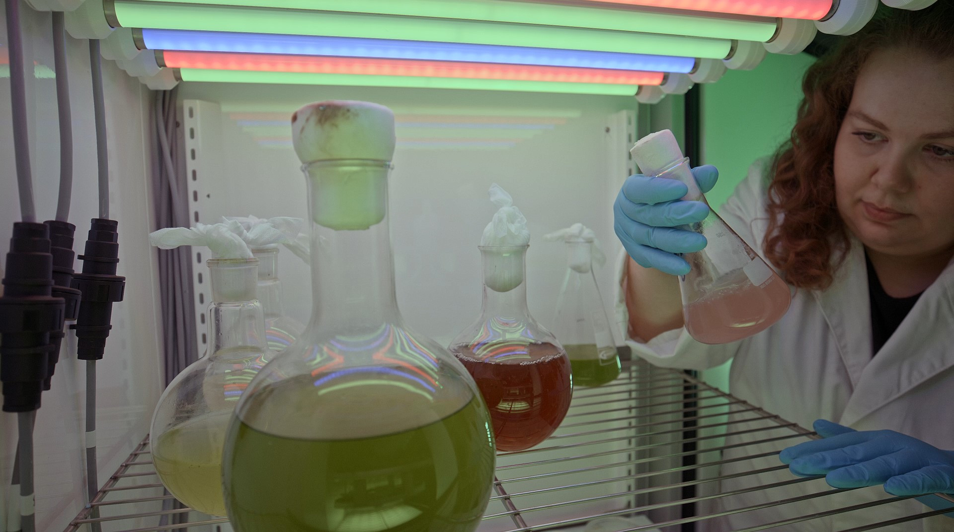 Researcher in a laboratory environment