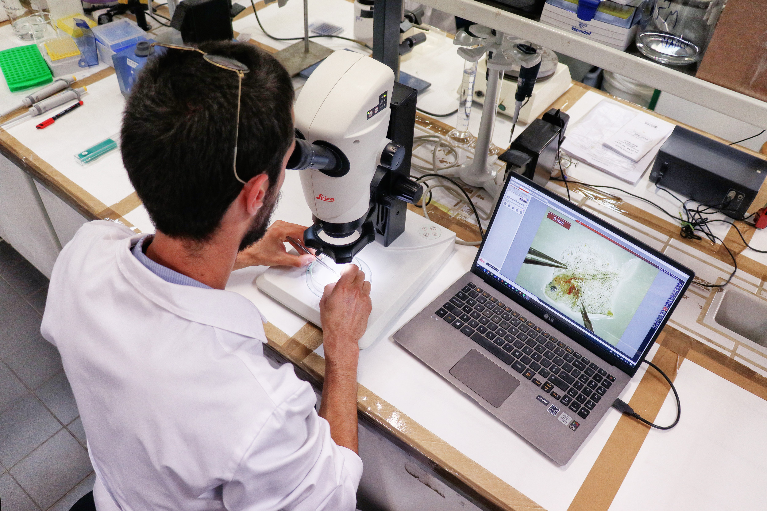 Aquagroup - working in microscope