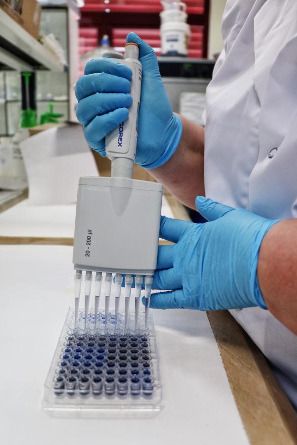 Detail of researcher's hand at work