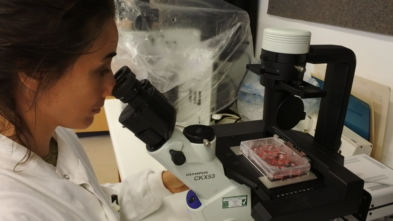 Carina Checking Cells