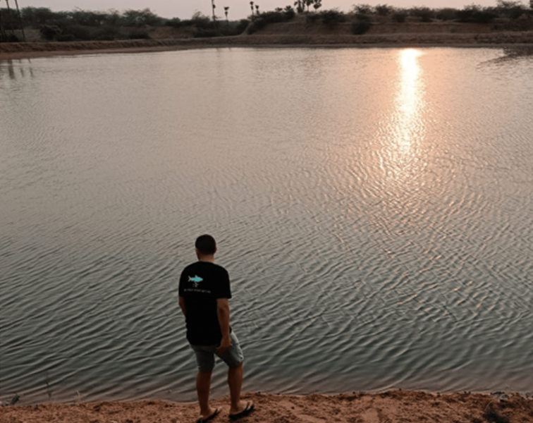 Evaluating the welfare of farmed fish in India.