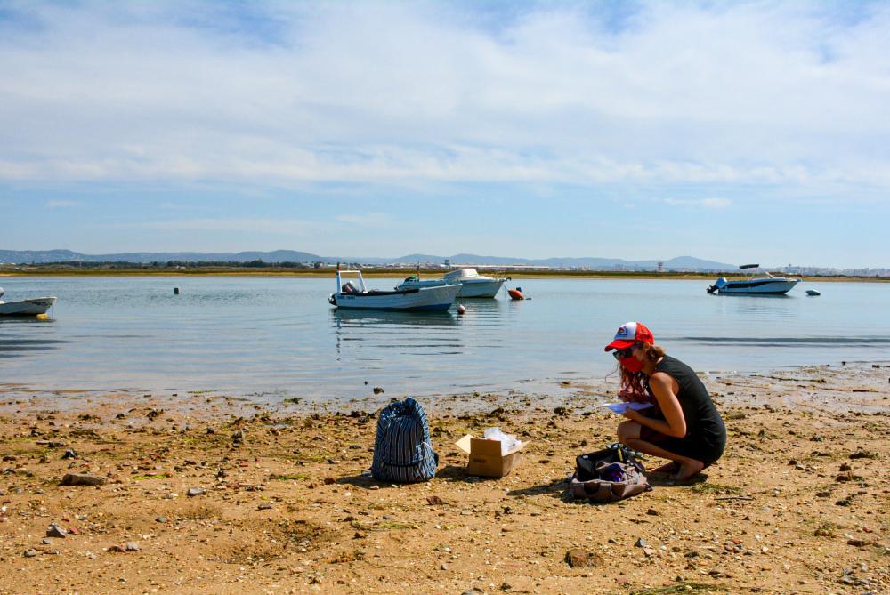 Collecting sediment samples at Praia de Faro for microplastic determination
