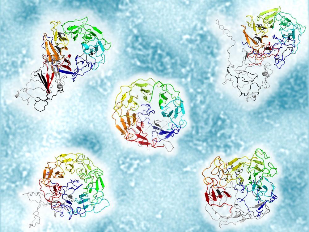 ProtMar - Marine Recombinant Protein and Biosensors Platform (CCMAR/EMBRC.PT). A HUB OF SCIENCE, INNOVATION &amp; TRAINING FOR THE BLUE ECONOMY
