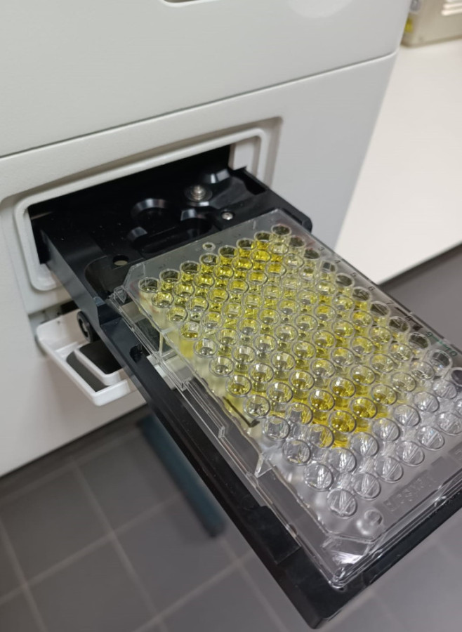 ELISA assay for Gla Rich Protein quantification