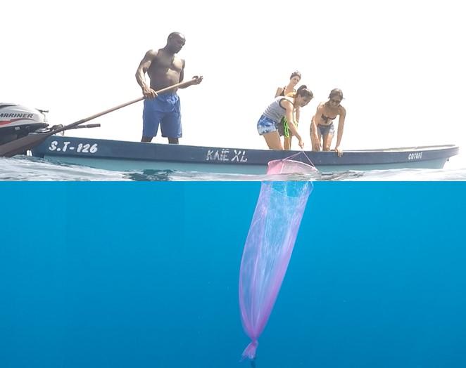 Sampling zooplanktonic preys of sea-turtles in Guinea Gulf