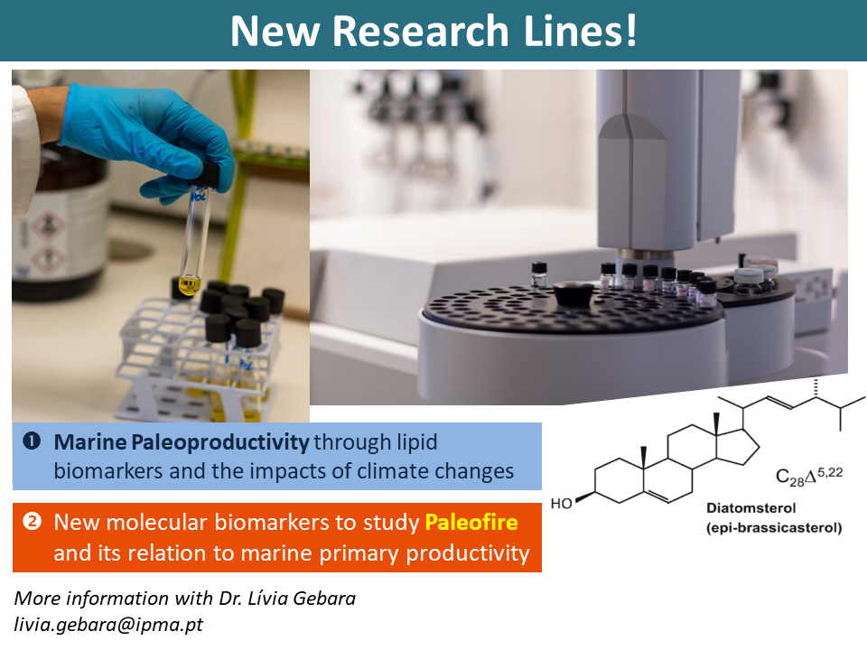 New research lines offer