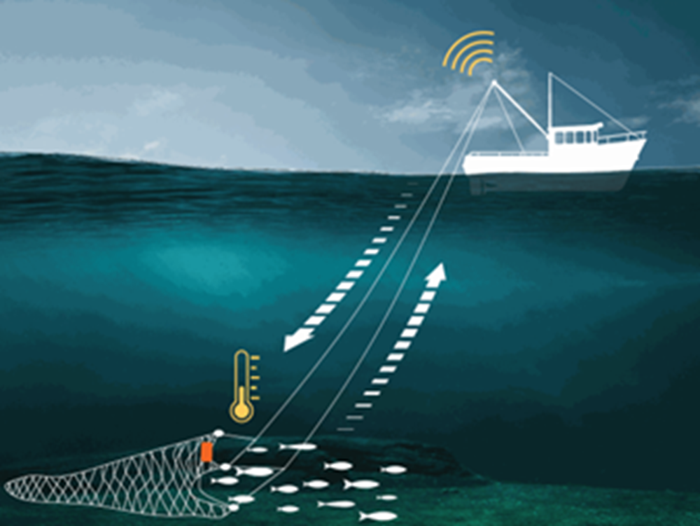 Fishing Vessels Ocean Observing Network (FVON)
